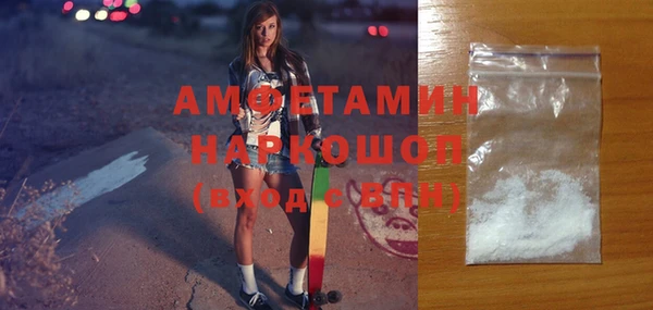 молекула духа Ельня