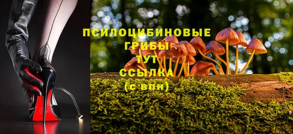 соль ск Щигры
