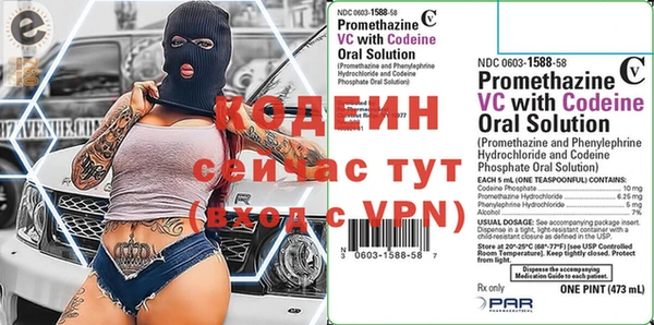молекула духа Ельня