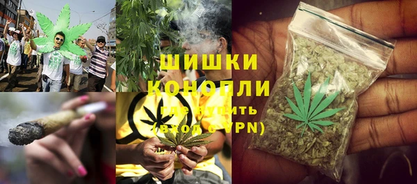 молекула духа Ельня