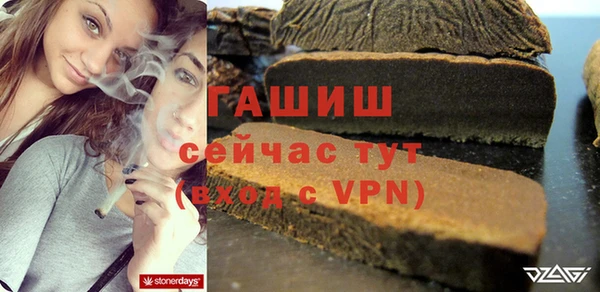 молекула духа Ельня