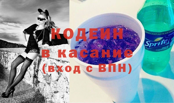молекула духа Ельня