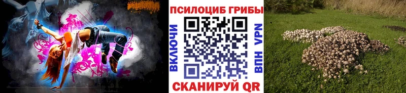 Купить  Советск  Псилоцибиновые грибы Psilocybe 