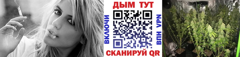 Бошки Шишки гибрид  Купить где  Советск 